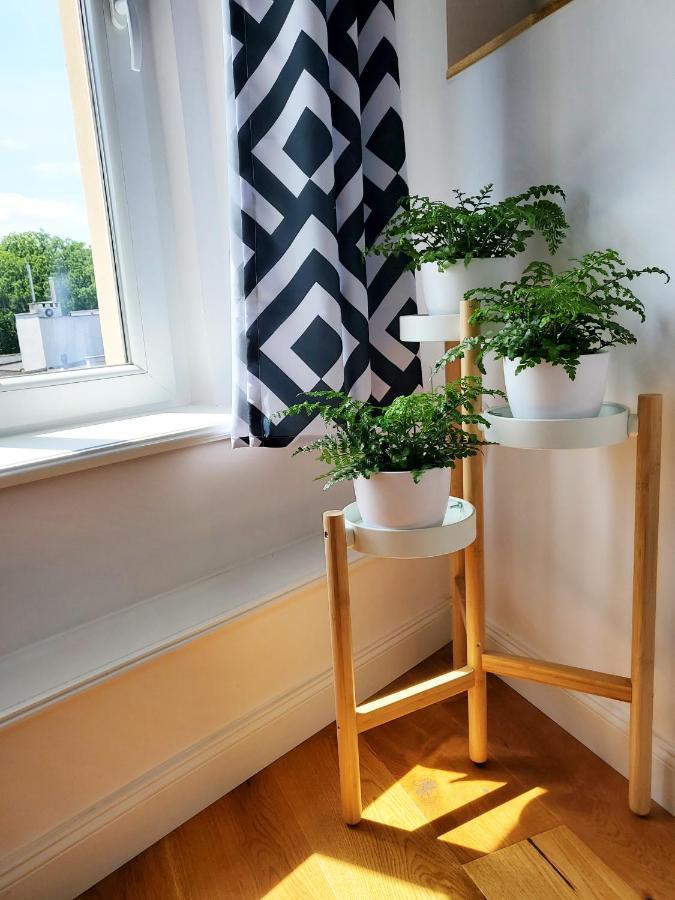 Apartmán Centrum Grand Apartament Świdnica Exteriér fotografie